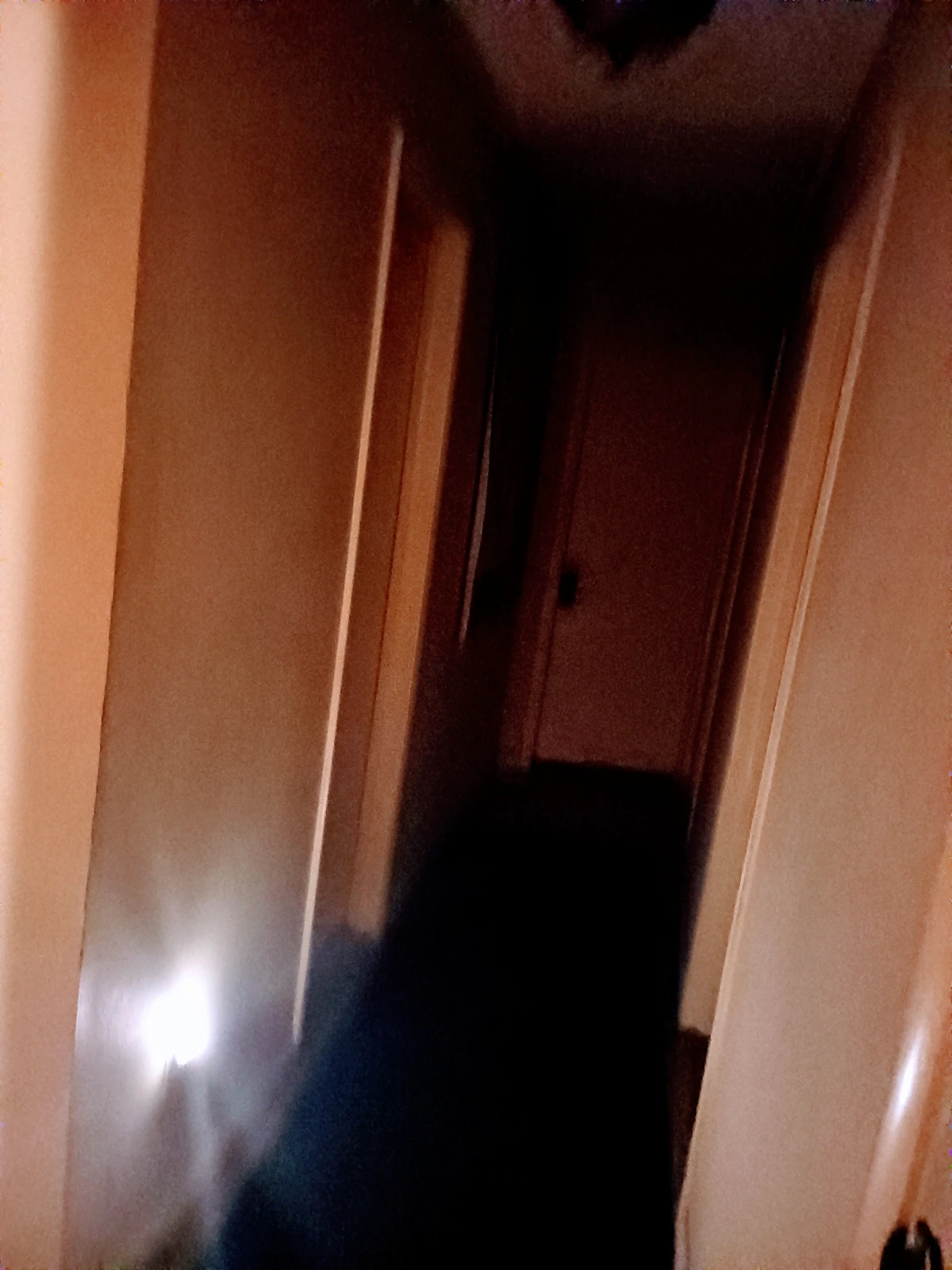 Level 2003 Backrooms Freewriting Wiki Fandom